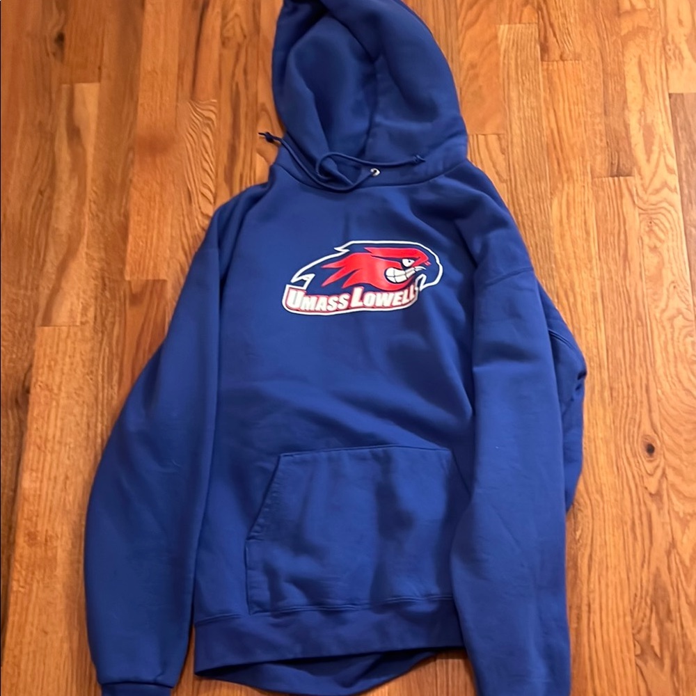 Champion Blue Sweatshirt Hoodie